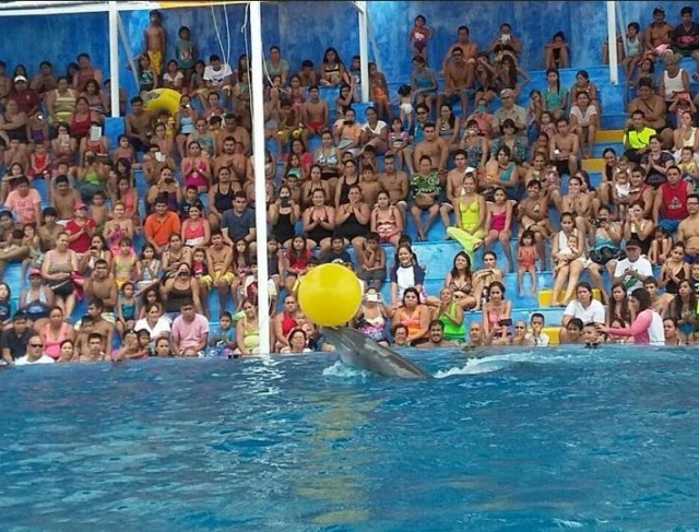 Todos al show